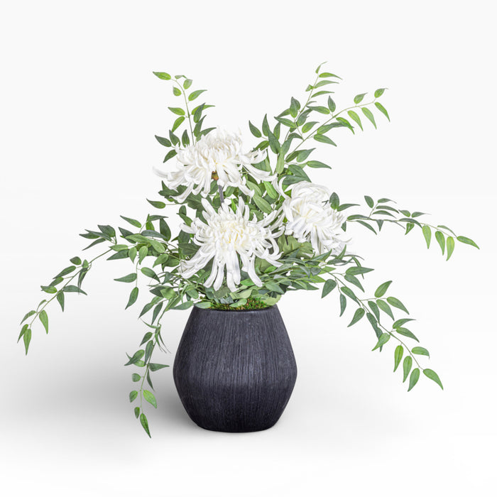 10" Ava Pot with Spider Mum Arrangement AR1479