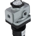 1/4" NPT Standard Air Pressure Regulator
