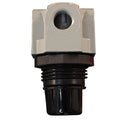 1/8" NPT Mini Heavy Duty Regulator