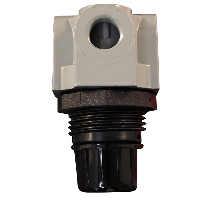 1/8" NPT Mini Heavy Duty Regulator