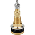 2-1/2" TR 618A Tubeless Air Liquid Valve