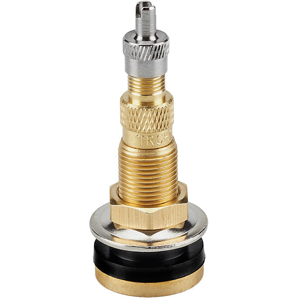 2-1/2" TR 618A Tubeless Air Liquid Valve
