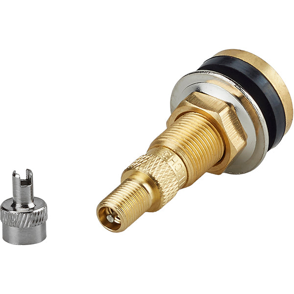2-1/2" TR 618A Tubeless Air Liquid Valve