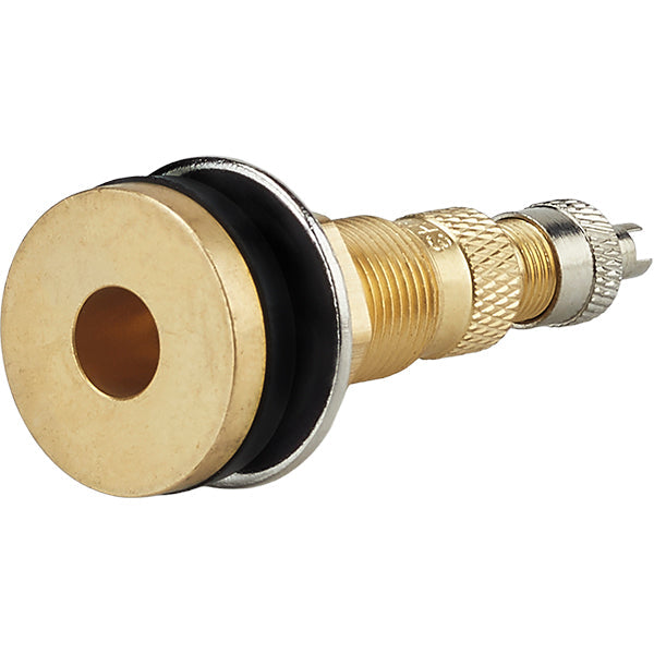 2-1/2" TR 618A Tubeless Air Liquid Valve