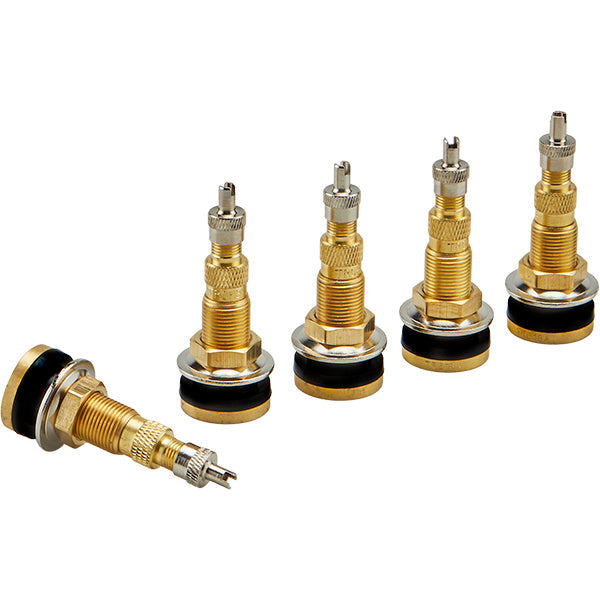 2-1/2" TR 618A Tubeless Air Liquid Valve