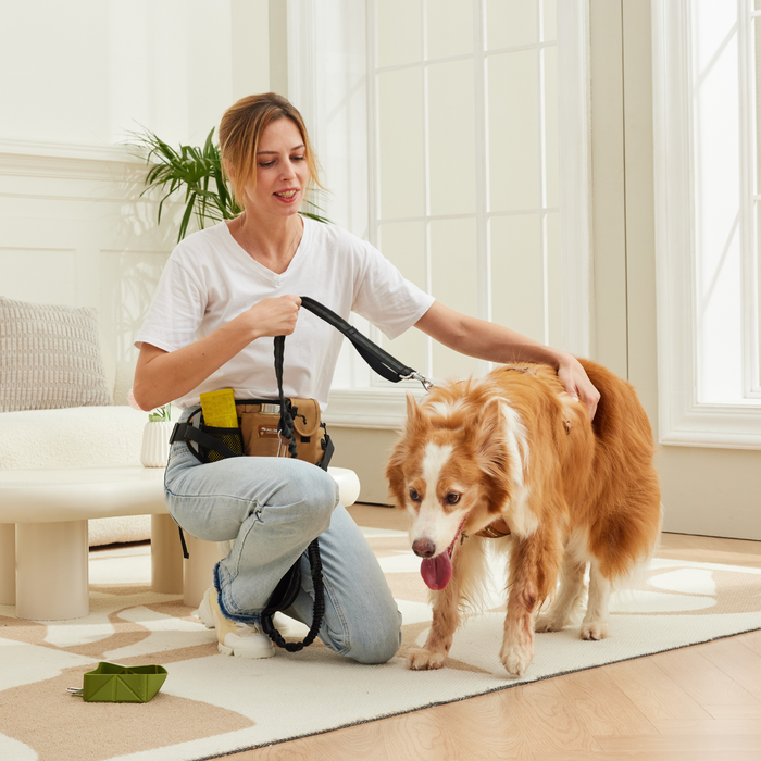 All-in-One Walking Bag | Dog Walking Bag – Hands-Free Convenience