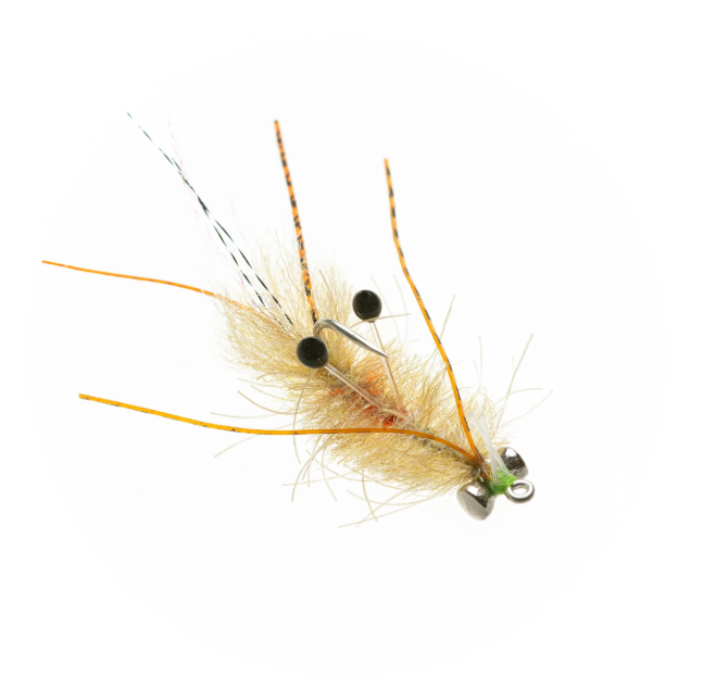 Ascension Bay Mantis By EP Flies