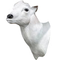 BIGshot Dall Sheep Head (without horns)