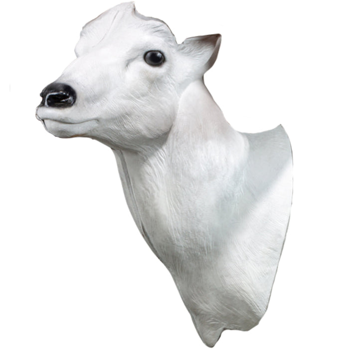 BIGshot Dall Sheep Head (without horns)