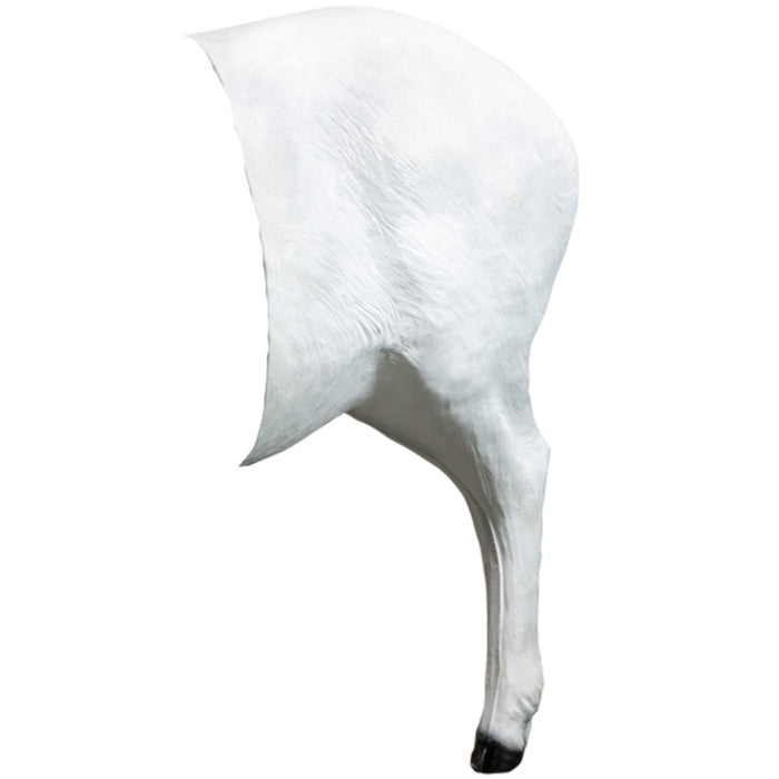 BIGshot Dall Sheep Rear Section
