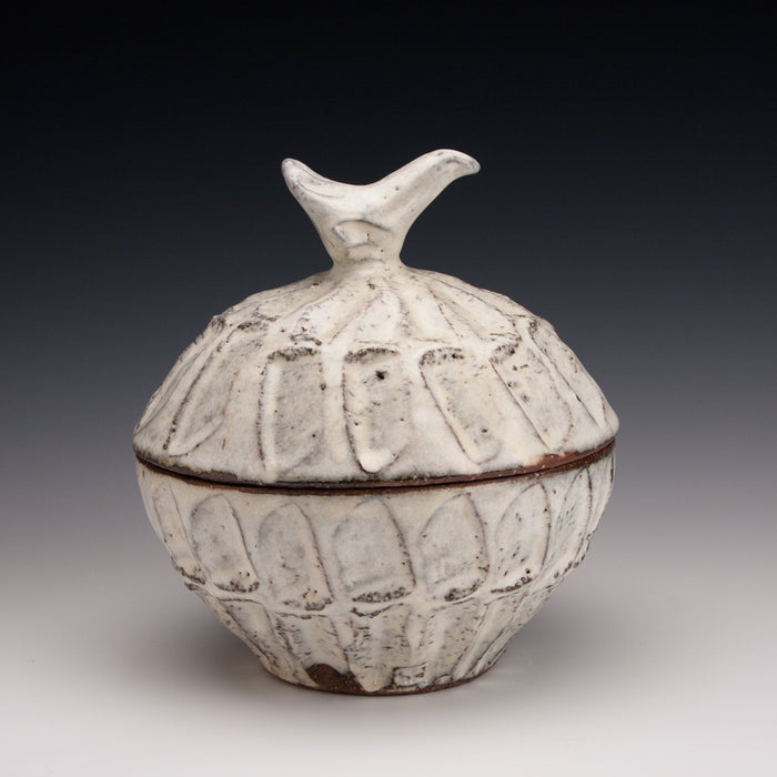 Bird Jar