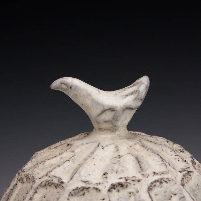 Bird Jar