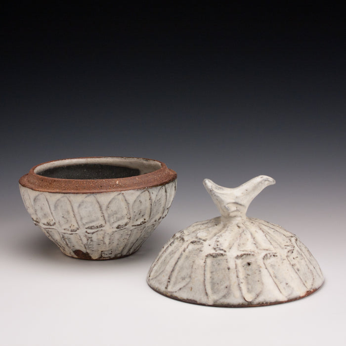 Bird Jar