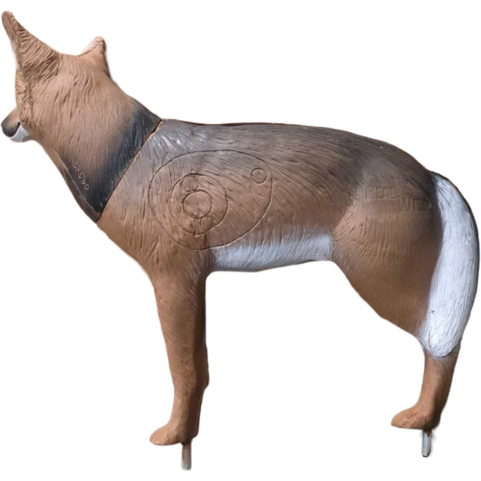 Blemished BIGshot Pro Hunter Coyote Archery Target