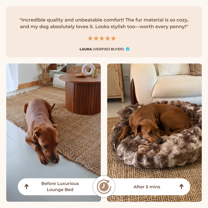 Calm Lounge Nest | Lounge Bed – Deep Rest & Stylish Comfort