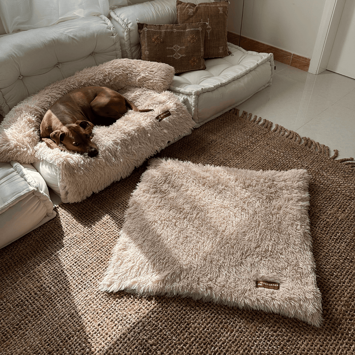 Calming Relief Blanket | Dog Blanket – Soothing Comfort & Perfect for snuggling