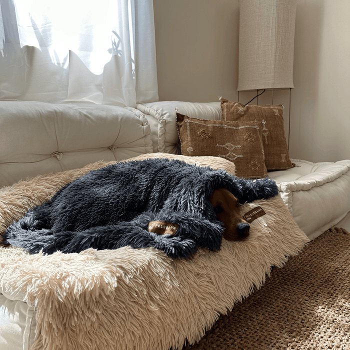 Calming Relief Blanket | Dog Blanket – Soothing Comfort & Perfect for snuggling