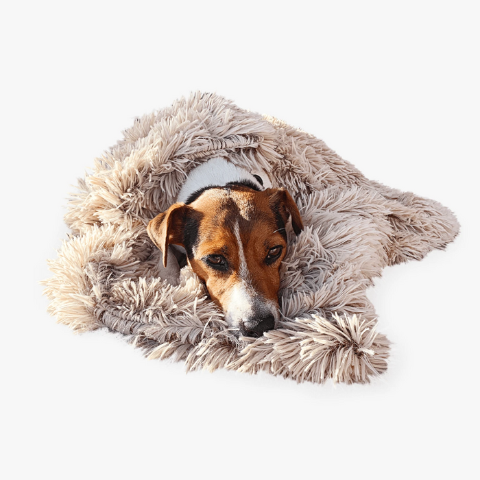 Calming Relief Blanket | Dog Blanket – Soothing Comfort & Perfect for snuggling
