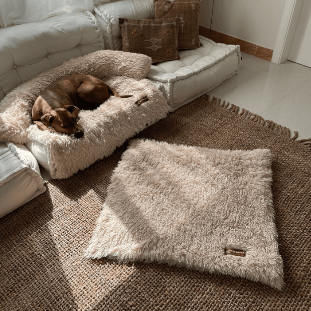 Calming Relief Blanket | Dog Blanket – Soothing Comfort & Perfect for snuggling