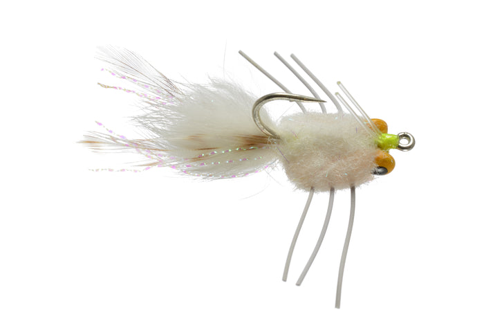 Casa Blanca Raghead Crab w/ Custom Yellow Eyes