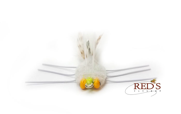 Casa Blanca Raghead Crab w/ Custom Yellow Eyes