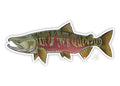 Casey Underwood Chum Decal