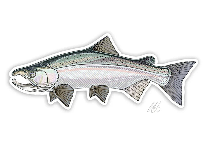 COHO decal
