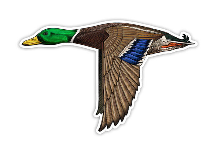 Casey Underwood Mallard Decal