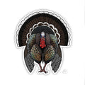 Casey Underwood Meriam Turkey Decal