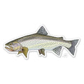 Casey Underwood Sea Run Cutthroat Decal