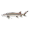 Casey Underwood Sturgeon Decal