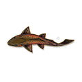 Casey Underwood Swimming Cutthroat Decal