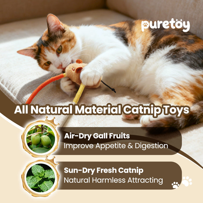 Cat Chew Rope Toys with Catnip Mice Interactive Teething Toy Set