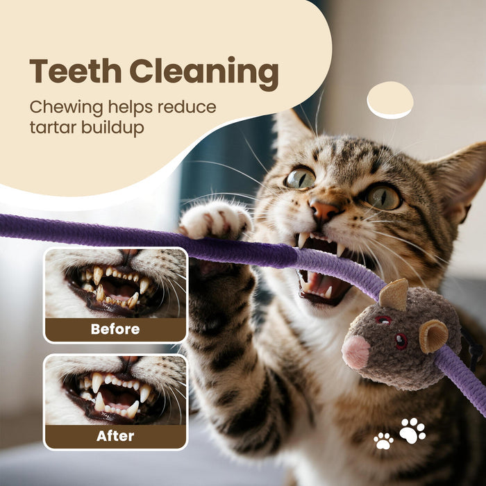 Cat Chew Rope Toys with Catnip Mice Interactive Teething Toy Set