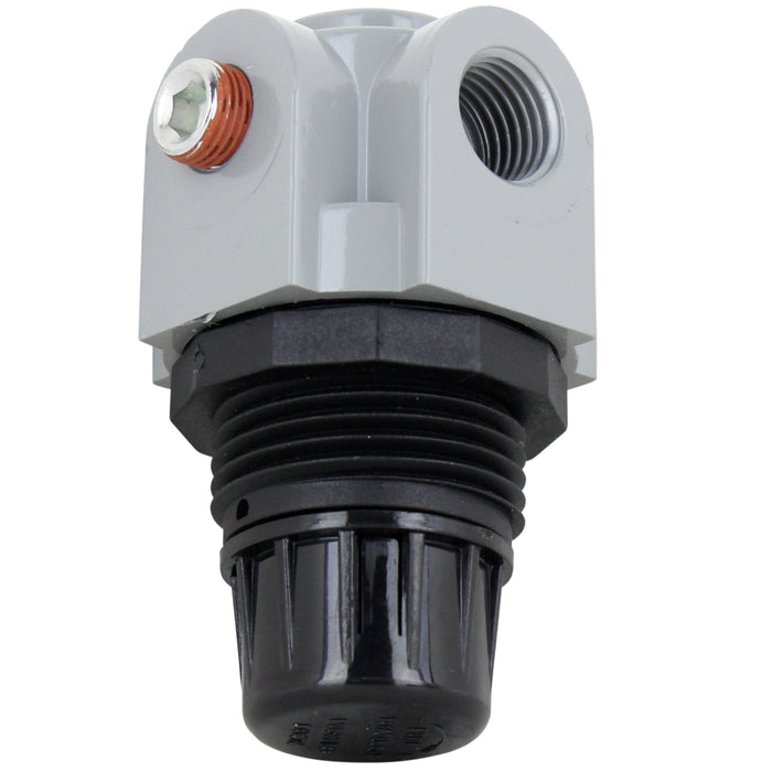 Compact 1/4" NPT Mini Heavy-Duty Regulator