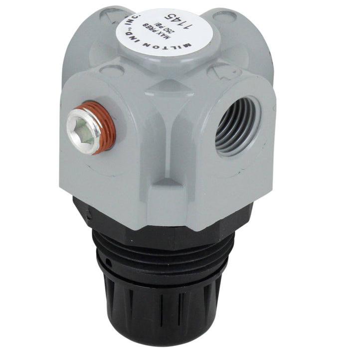 Compact 1/4" NPT Mini Heavy-Duty Regulator
