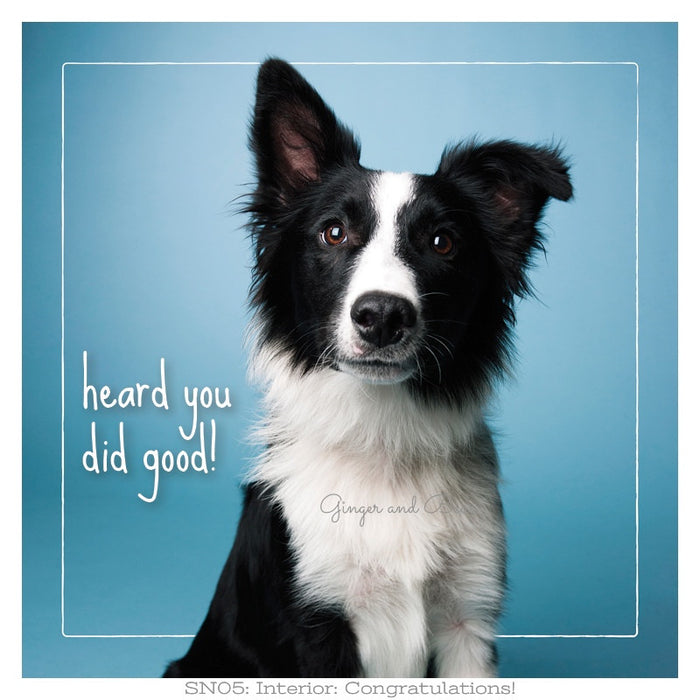 Congratulations: Stoke's Heard You Did Good Congratulations