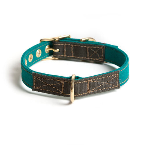 Cotton Canvas Collar, Girl Scout Green [FINAL SALE]