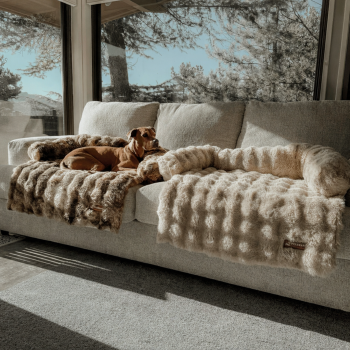Cozy Pet Beds | Sofa Bed – Luxurious Comfort & Style