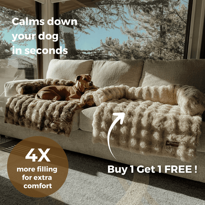 Cozy Pet Beds | Sofa Bed – Luxurious Comfort & Style