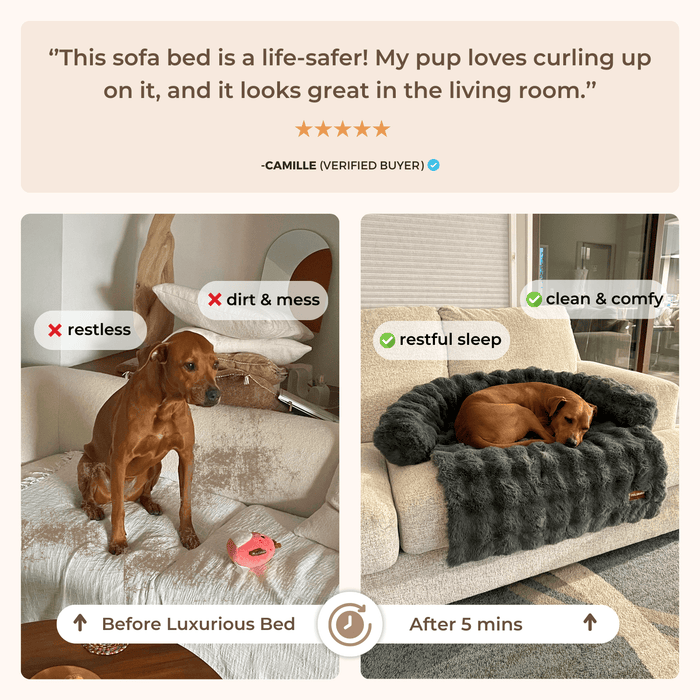 Cozy Pet Beds | Sofa Bed – Luxurious Comfort & Style