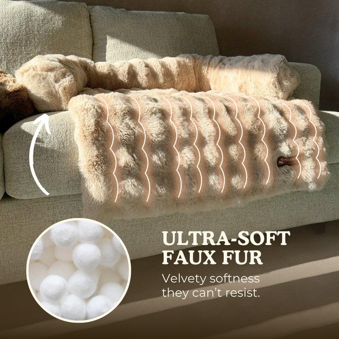 Cozy Pet Beds | Sofa Bed – Luxurious Comfort & Style