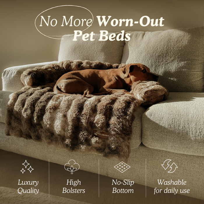 Cozy Pet Beds | Sofa Bed – Luxurious Comfort & Style