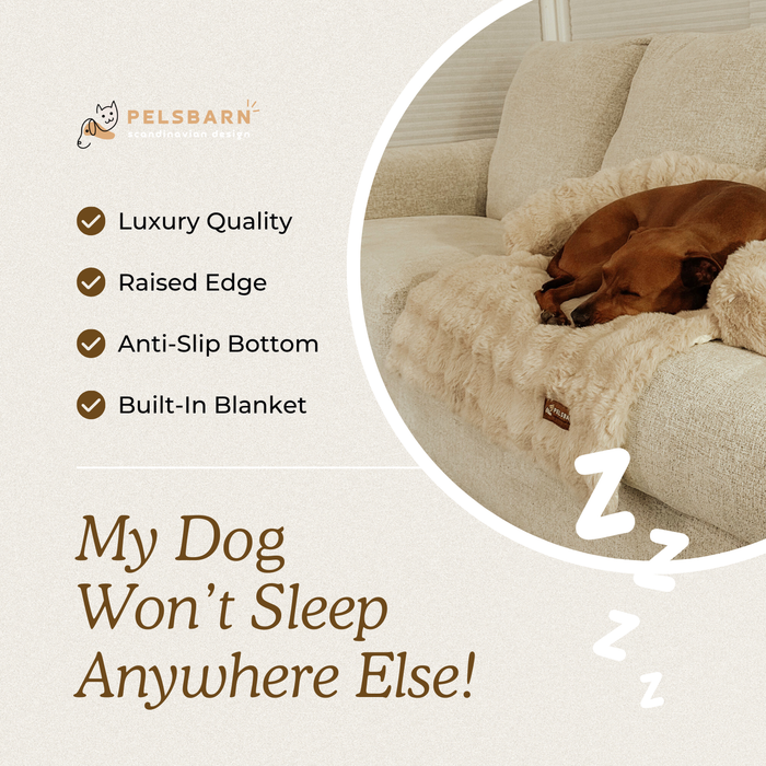 Cozy Pet Beds | Sofa Bed – Luxurious Comfort & Style