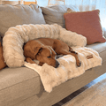 Cozy Pet Beds | Sofa Bed – Luxurious Comfort & Style