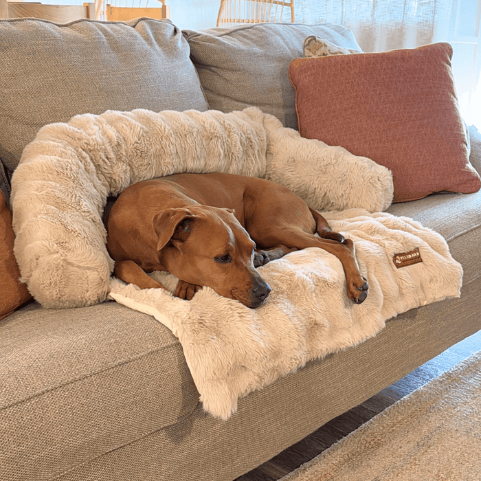 Cozy Pet Beds | Sofa Bed – Luxurious Comfort & Style