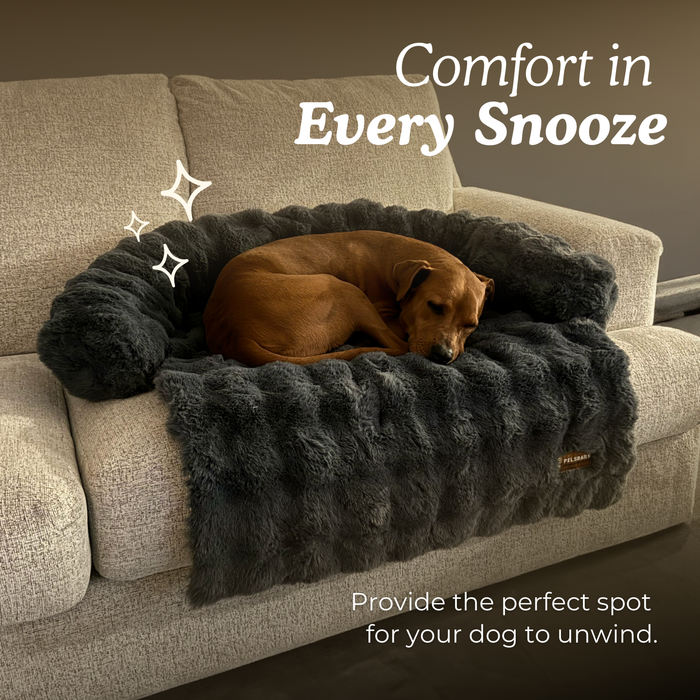 Cozy Pet Beds | Sofa Bed – Luxurious Comfort & Style