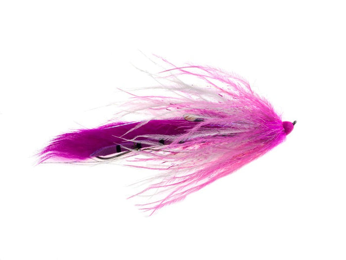 dirty hoh fly