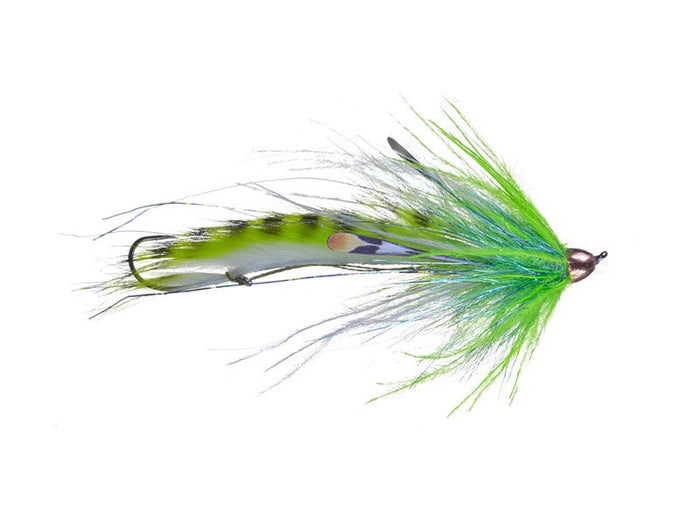 dirty hoh fly