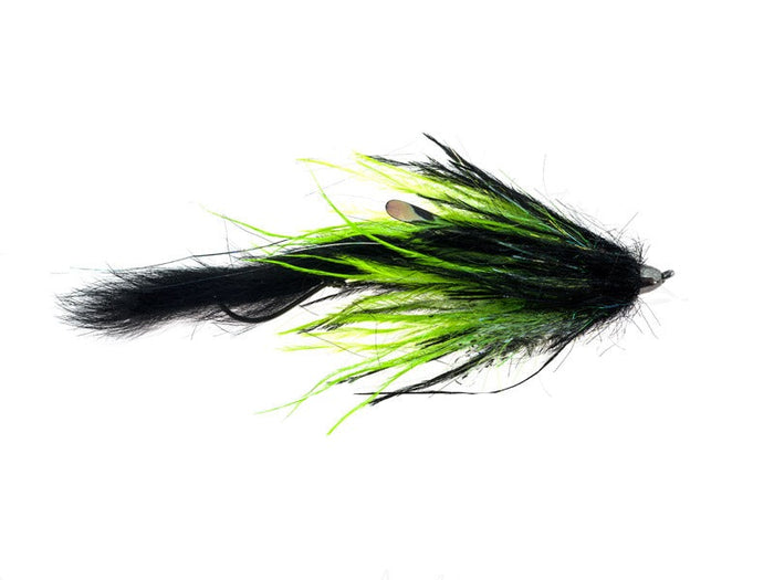 dirty hoh fly